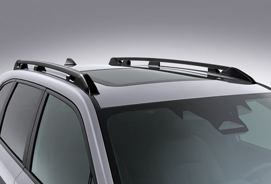 <sg-lang1>Rieles de techo</sg-lang1><sg-lang2></sg-lang2><sg-lang3></sg-lang3>