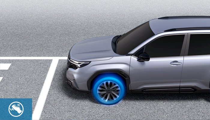 <sg-lang1>Retención automática de vehículos</sg-lang1><sg-lang2></sg-lang2><sg-lang3></sg-lang3>