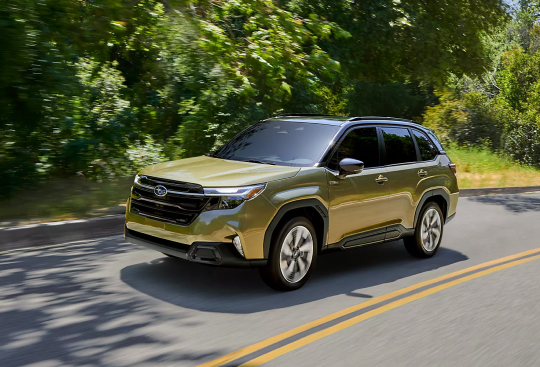 <sg-lang1>Forester</sg-lang1><sg-lang2></sg-lang2><sg-lang3></sg-lang3>