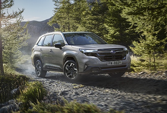 <sg-lang1>New Forester</sg-lang1><sg-lang2></sg-lang2><sg-lang3></sg-lang3>