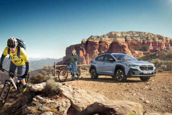 <sg-lang1></sg-lang1><sg-lang2></sg-lang2><sg-lang3></sg-lang3>